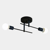 Modern 2-Light Ceiling Lamp | Black & Gold Flush Mount Chandelier